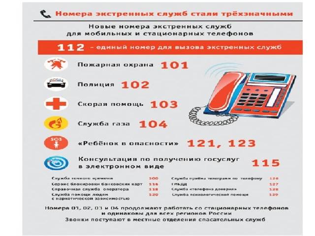 Горячая линия авиакомпании россия: телефон службы поддержки, бесплатный номер 8-800