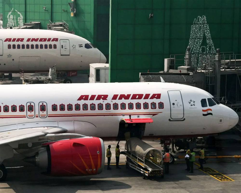 Индийские авиалинии: обзор самых крупных авиакомпаний индии, список менее известных компаний, отзывы пассажиров