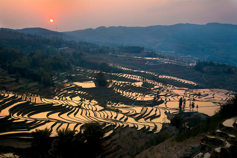 Как китайцы создают сказочные рисовые террасы на склонах горных вершин