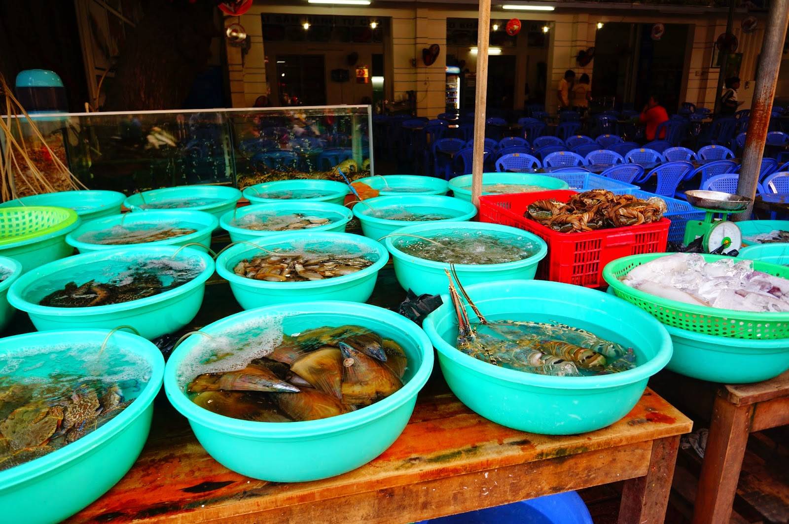 Рынок морепродуктов и прочих товаров в Нячанге