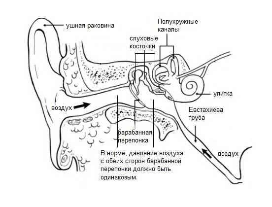 Ухудшение и (или) потеря слуха после ковида. как предотвратить, можно ли вылечить