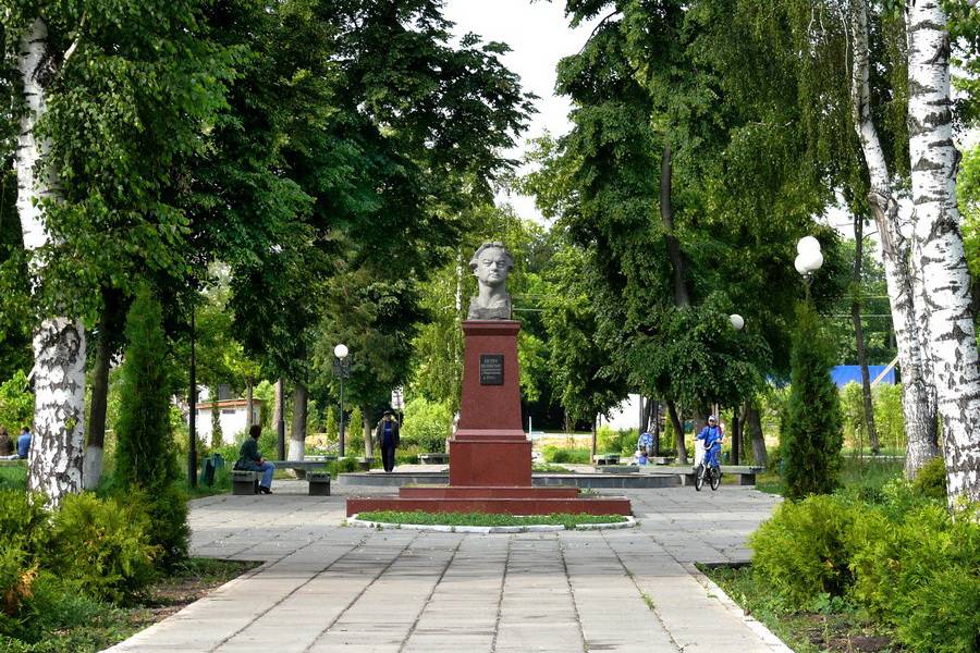 Город павловск воронежской области фото