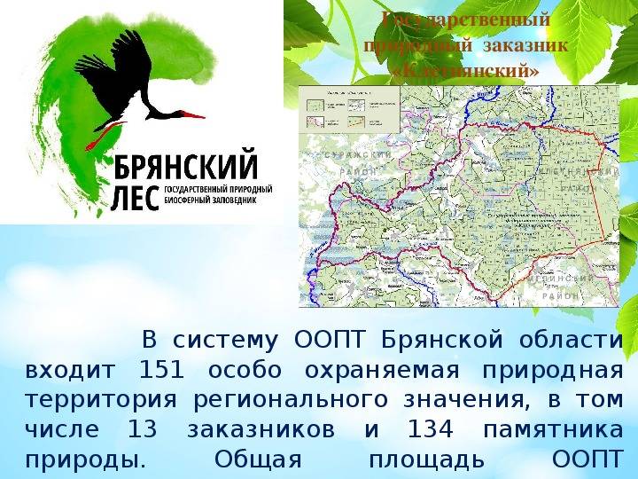 Заповедник «брянский лес» в брянской области — официальный сайт, фото, где находится, на карте, адрес, как доехать