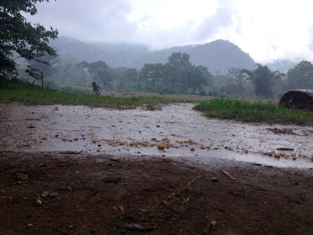 Сезон дождей в таиланде. погода, отдых, отзывы
