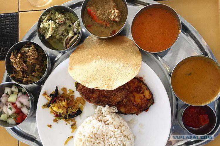 Блог елены исхаковой
еда в индии: чем мы питались, где и сколько это стоило