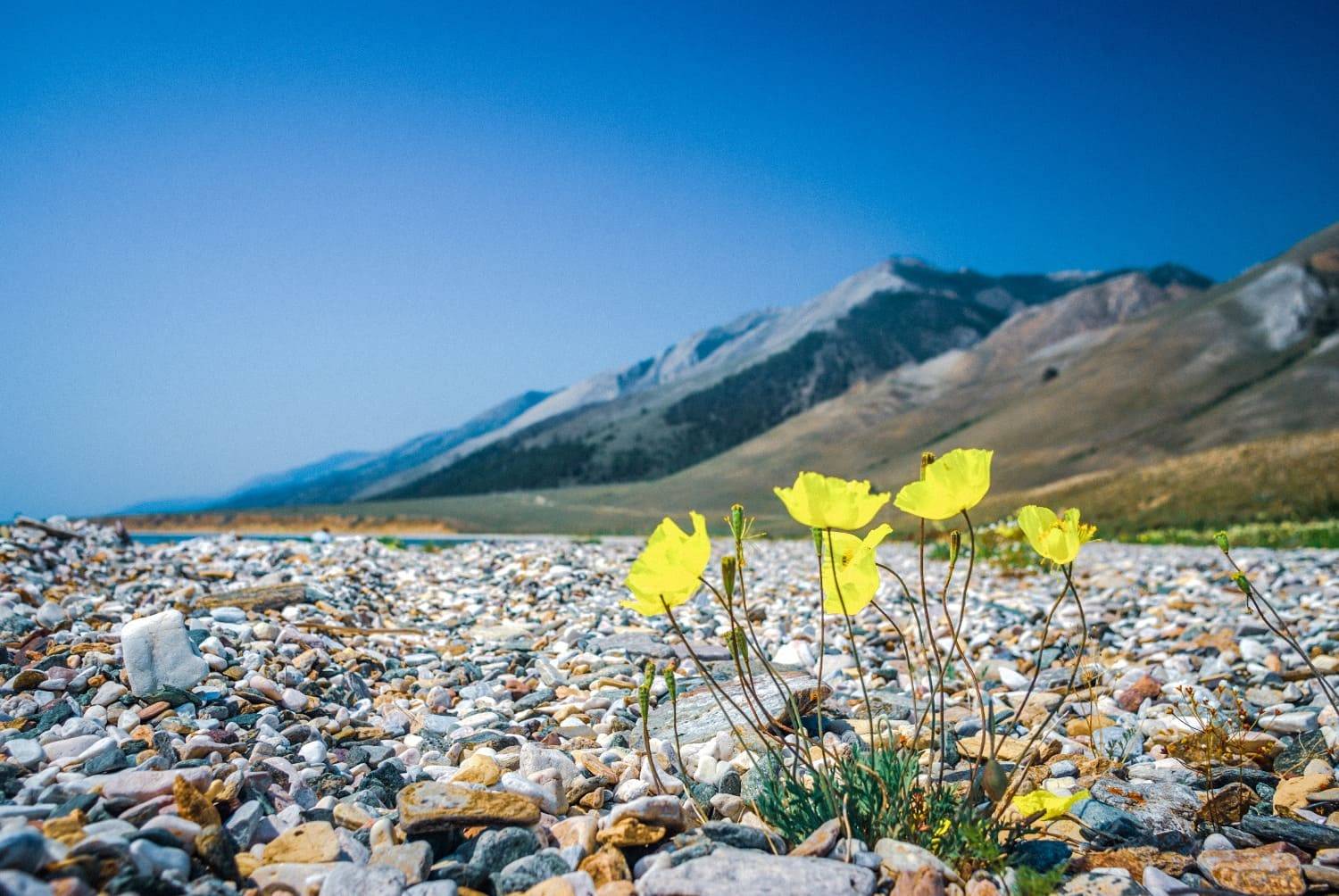 Где лучше отдыхать в Казахстане весной?