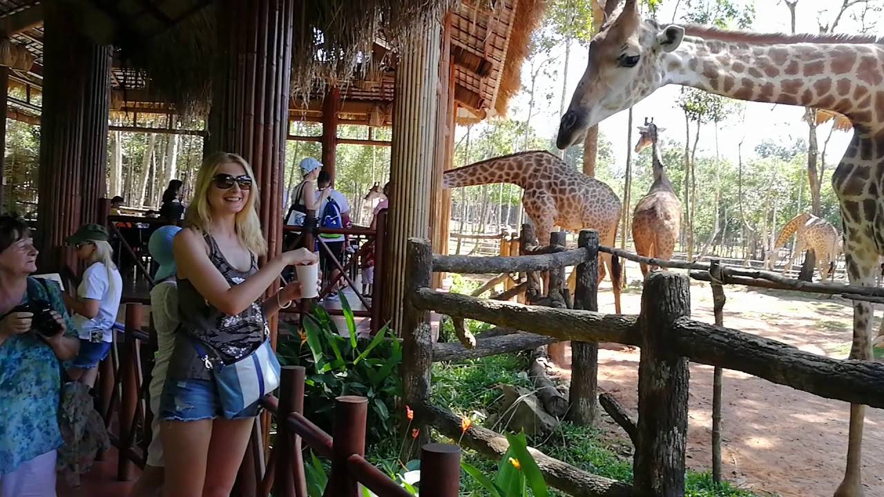 Как добраться до винперл, фукуок
set travel как добраться до винперл, фукуок