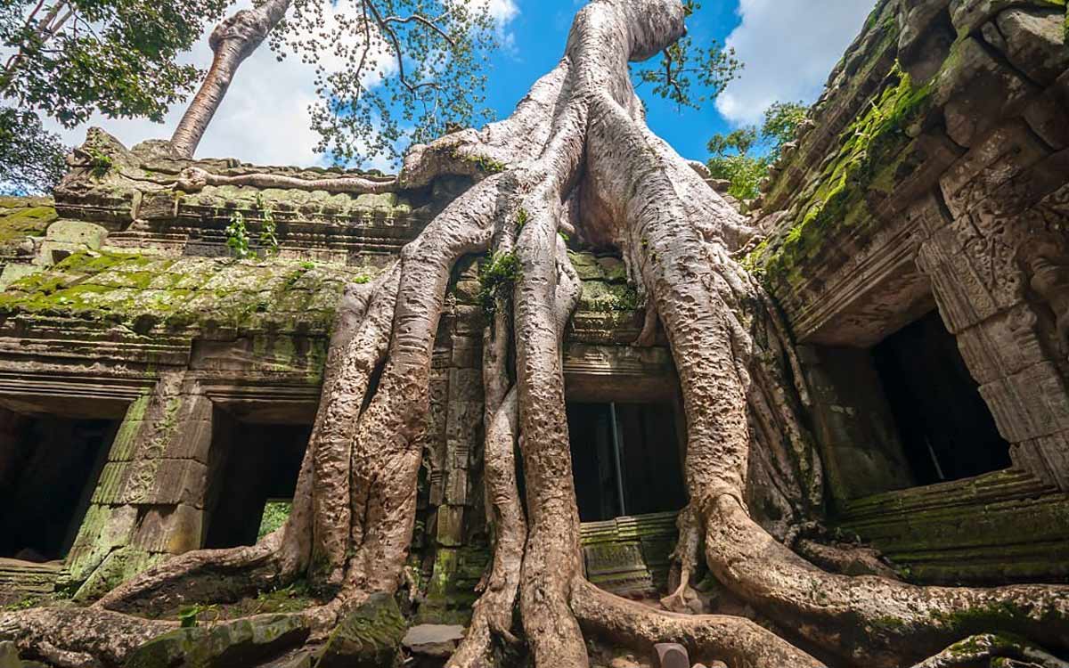 Экскурсия в ангкор из паттайи