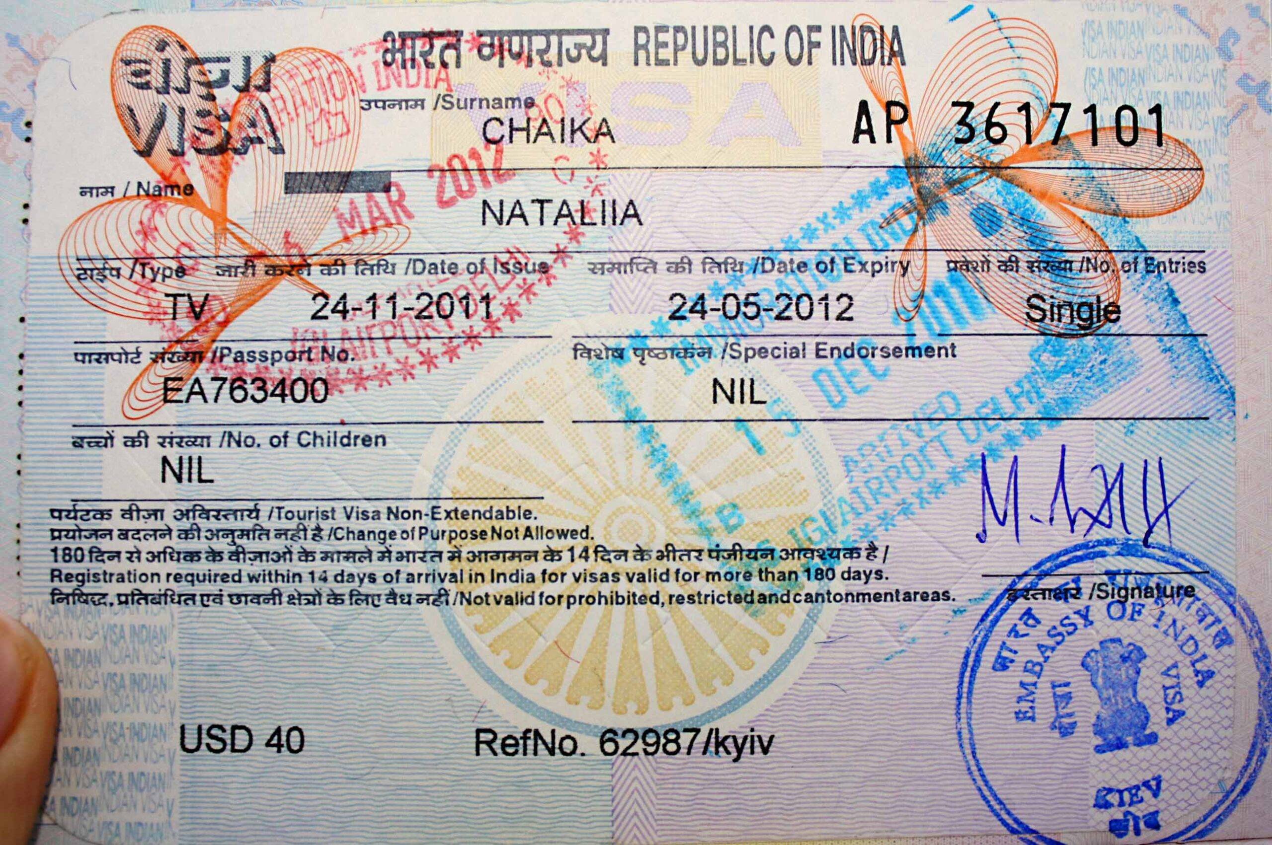 Электронная виза в индию: как оформить, нужна ли для россиян в 2023 году