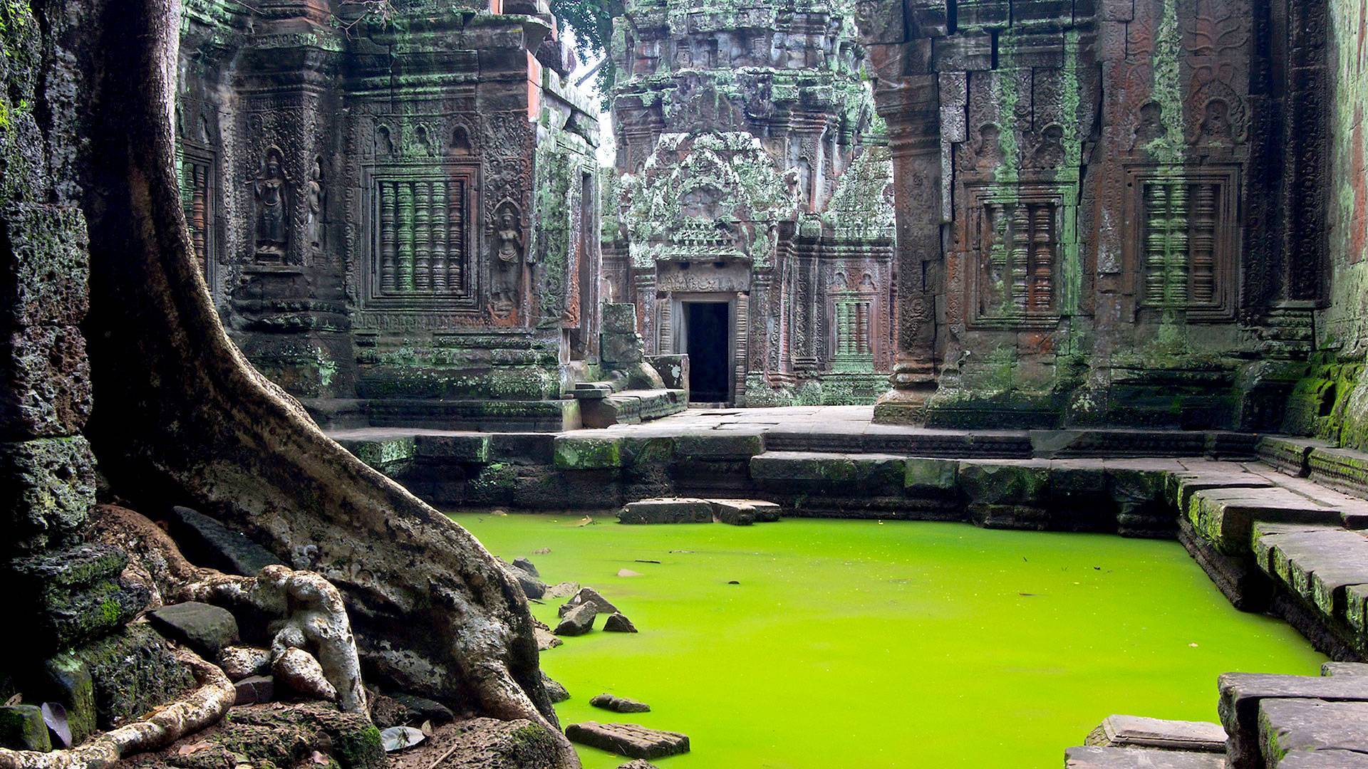 Что скрывает ангкор ват: история и современность города-храма в камбодже