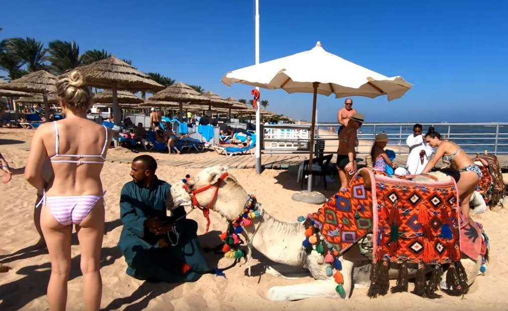 Когда откроют аэропорты хургады и шарм-эль-шейха: египет анонсировал возвращение российских туристов