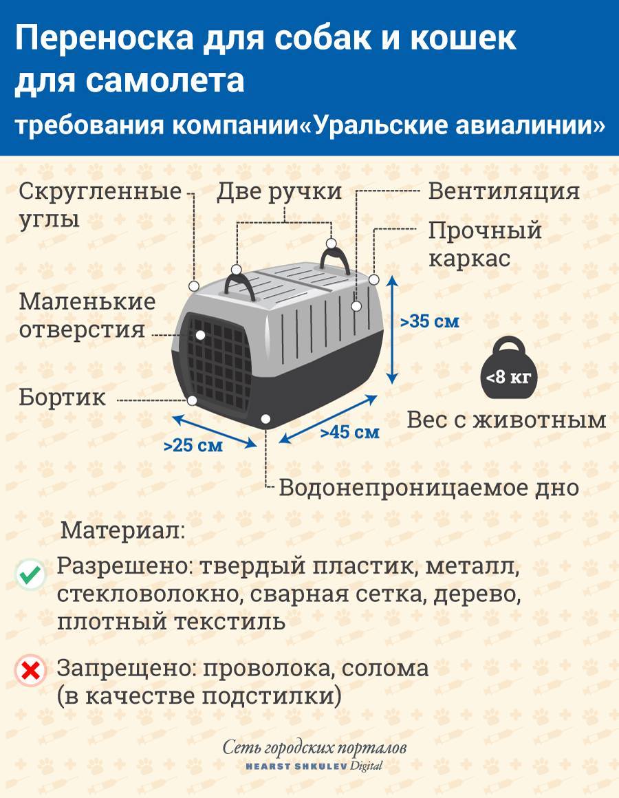 Перевозка собак в самолете: правила по россии, сумки-переноски
