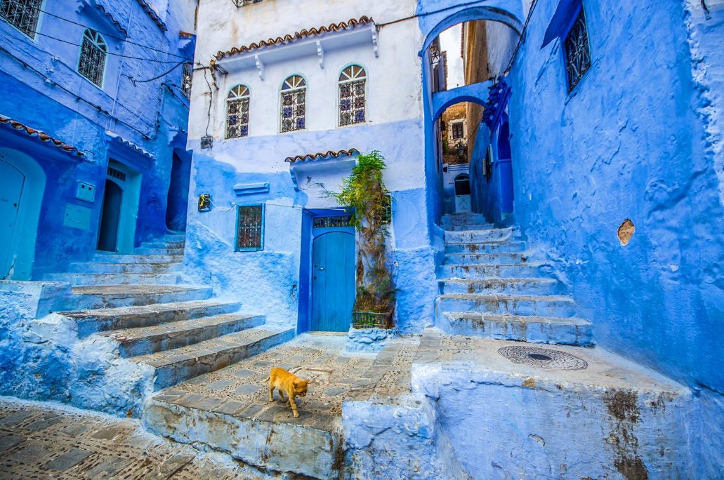Шефшауэн – синий город в марокко