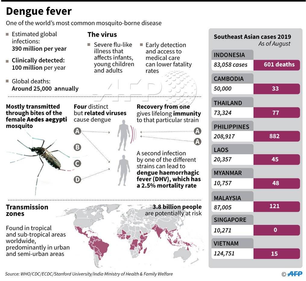 Лихорадка денге на пхукете: что нужно знать, чтобы отдыхать спокойно