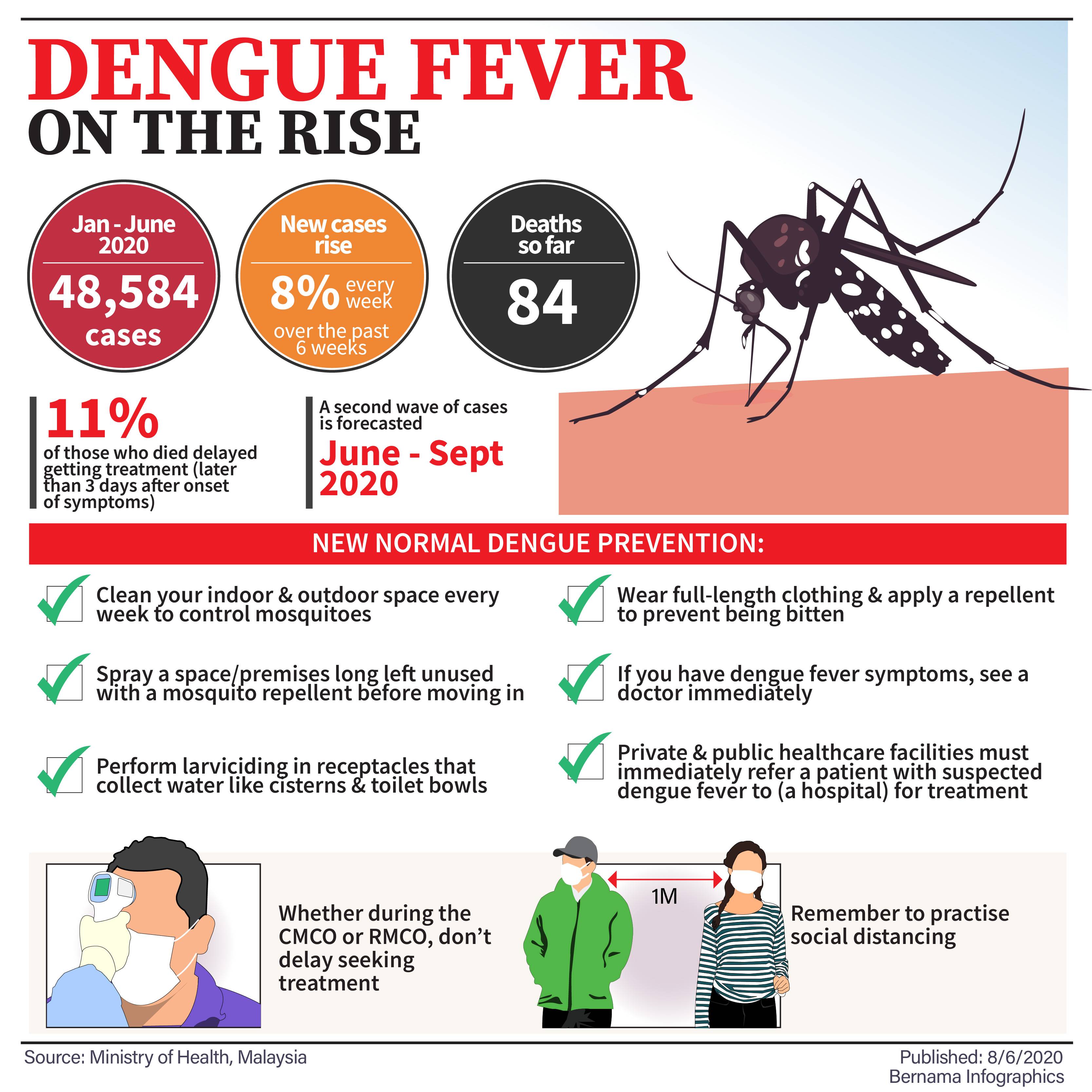 Лихорадка денге в таиланде: симптомы и лечение, как защититься от вируса