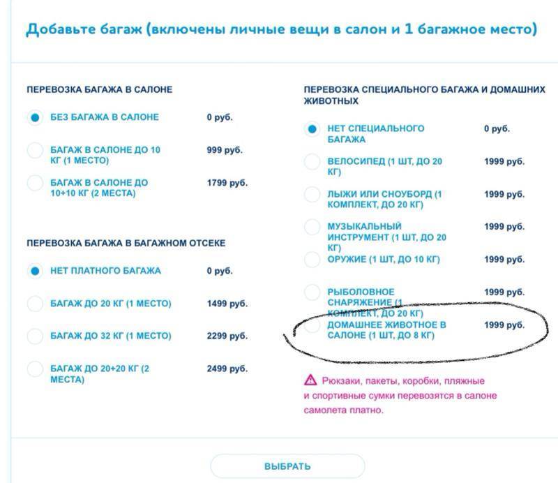 Билет на кота в самолете победа москва ростов самолет цены на билет