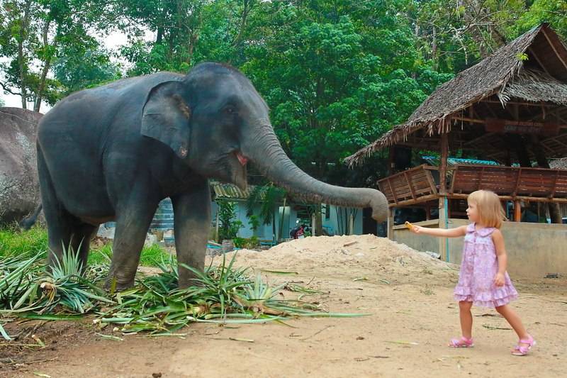 Отдых в тайланде с детьми — 2023: лучшие курорты и отели