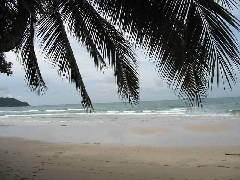 Обзор пляжей ко чанга: где купаться, чтобы не было отлива. много фото