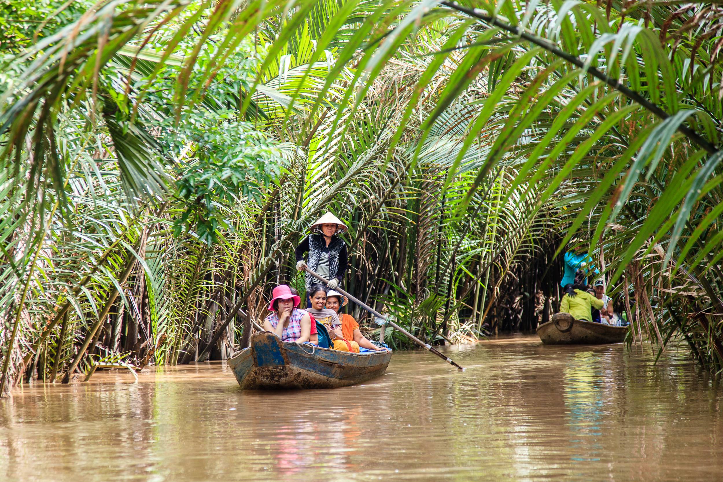 Река меконг: характеристика, маршрут, притоки, флора, фауна - наука - 2023