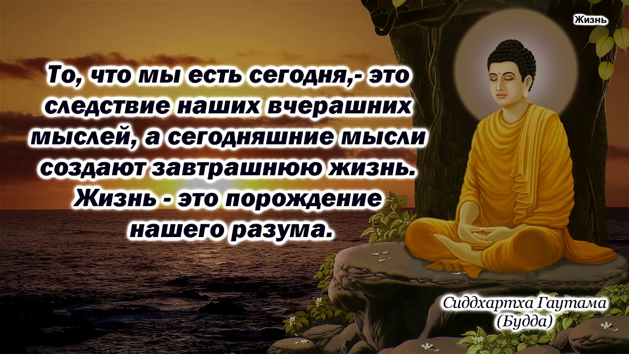 63 неизвестные цитаты будды о жизни