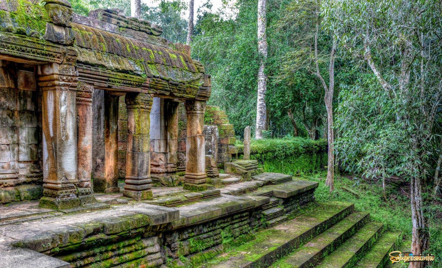 Экологический тур. джунгли и затеряные храмы камбоджи