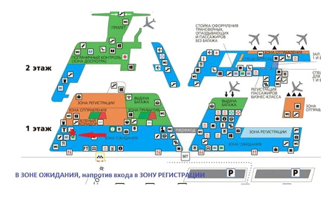 План аэропорта внуково: схема терминалов внуково