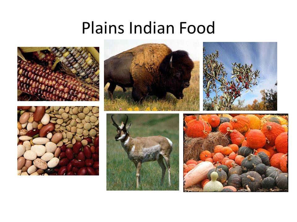 Пищевые запреты в индуизме | пальмовое масло - правда и мифы | дзен