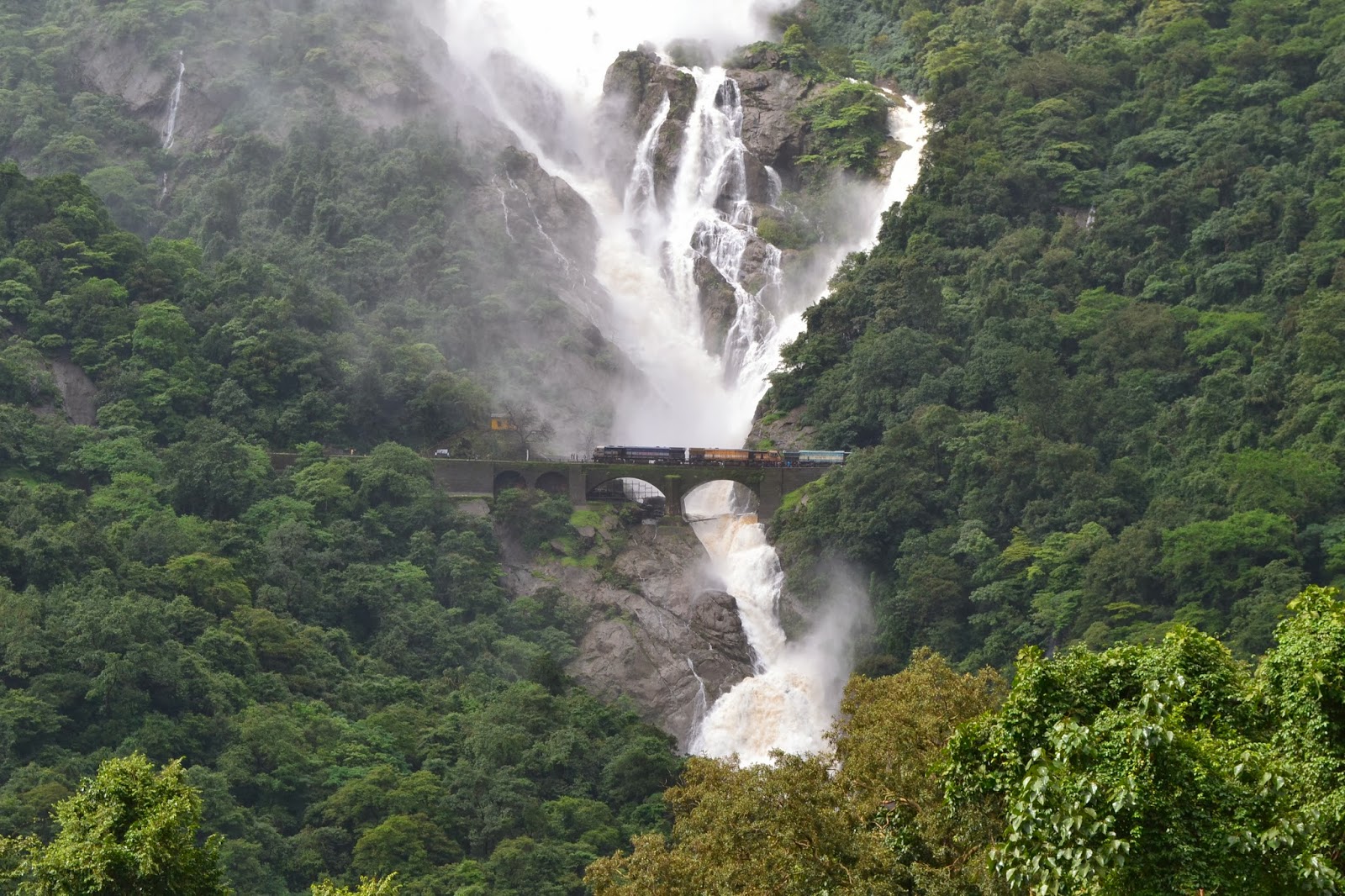 Водопад дудхсагар и катание на слонах: куда поехать в гоа