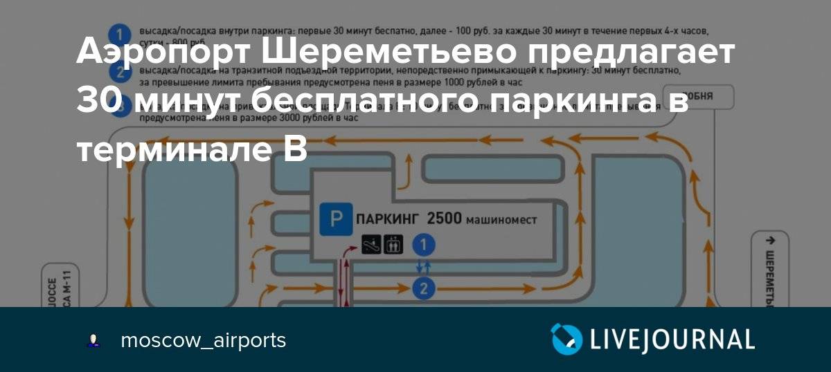 Парковка в аэропорту шереметьево — где лучше оставить машину - культтуризма