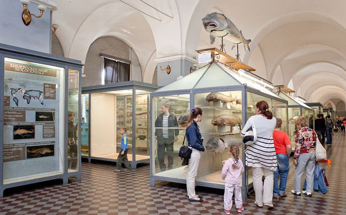 Интересные музеи санкт-петербурга [23 музея] - где находятся, фото