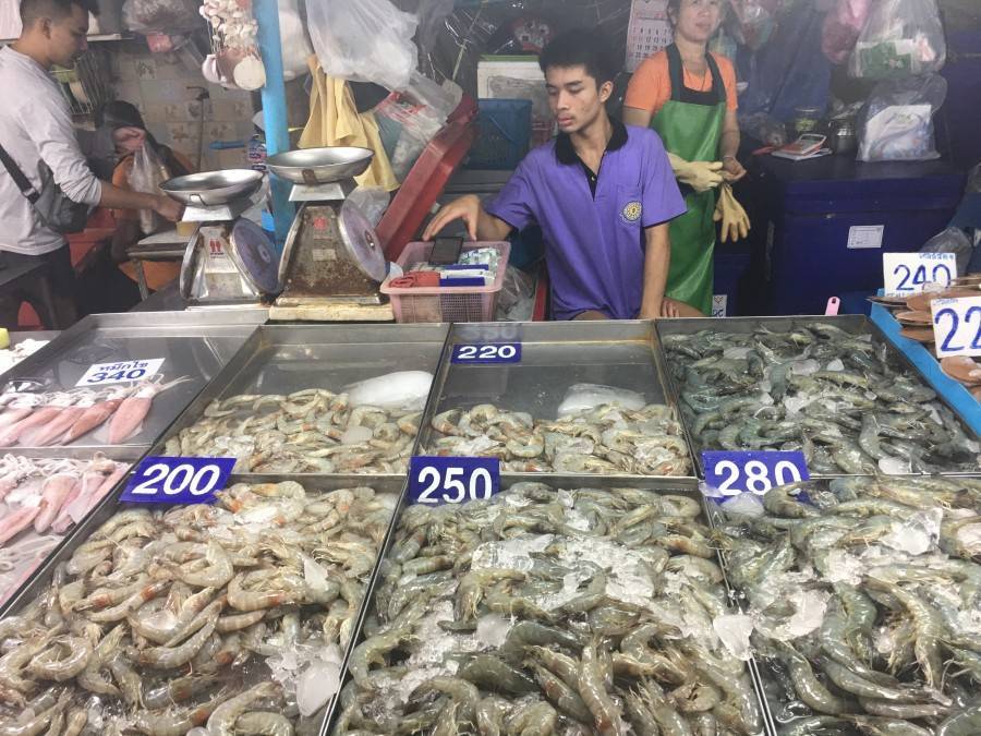 Морепродукты в таиланде, дары моря: гребешки, кальмары, рыба