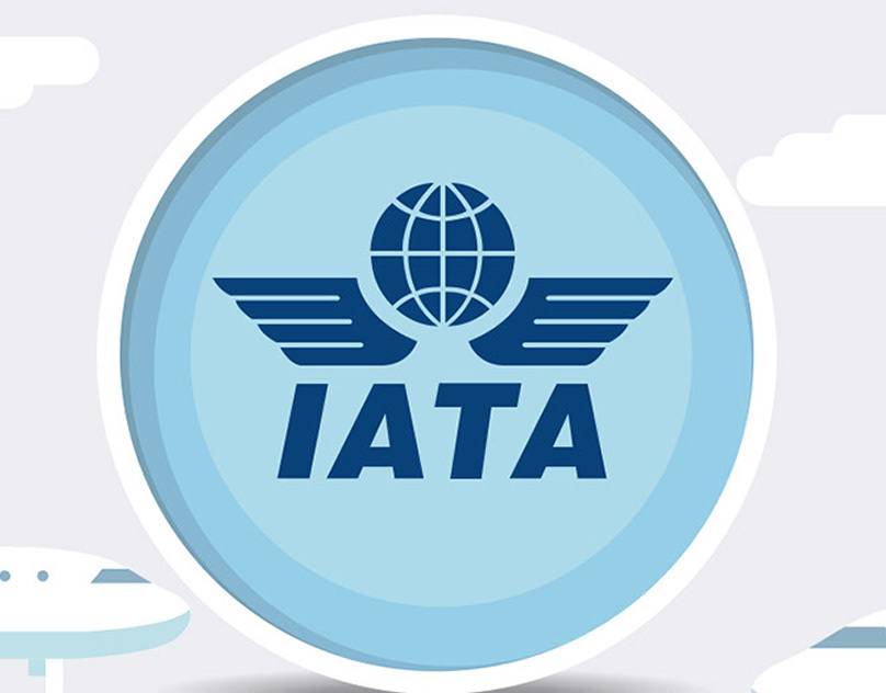 Международная ассоциация воздушного транспорта содержание а также история [ править ]