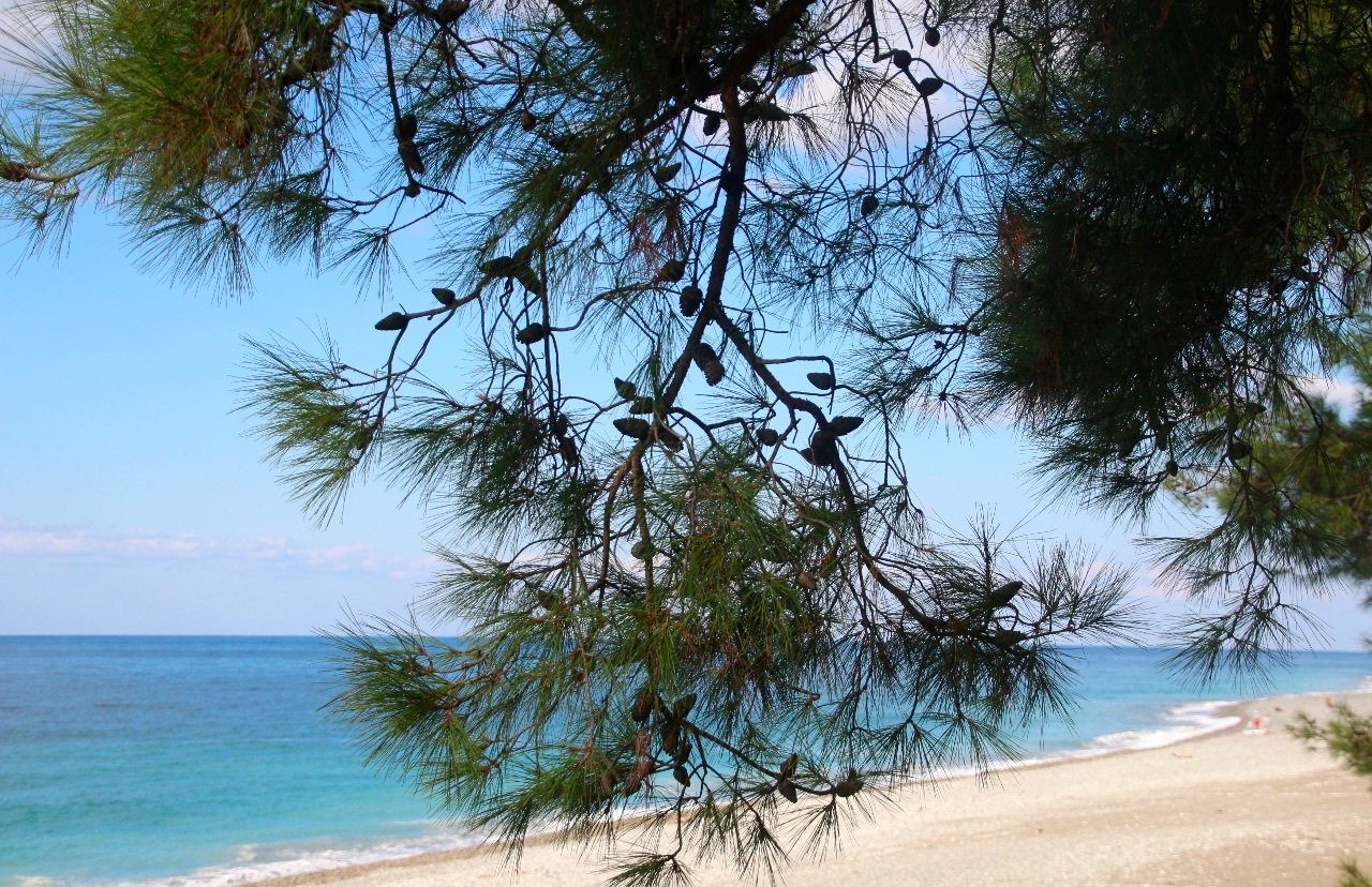 Лучшие песчаные пляжи турции - топ 5 | интересные факты