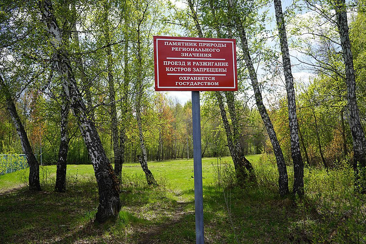 Памятник связанный с природой