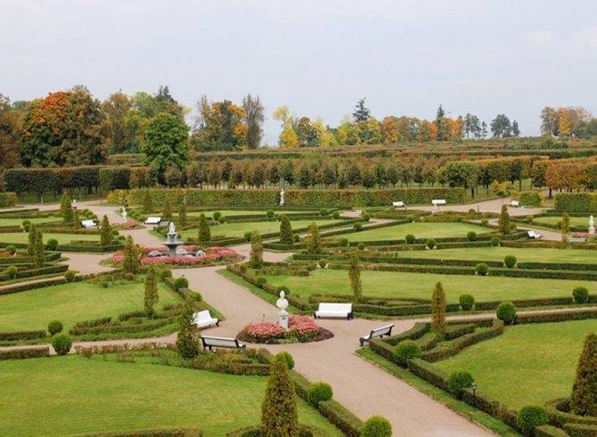 Парк константиновского дворца