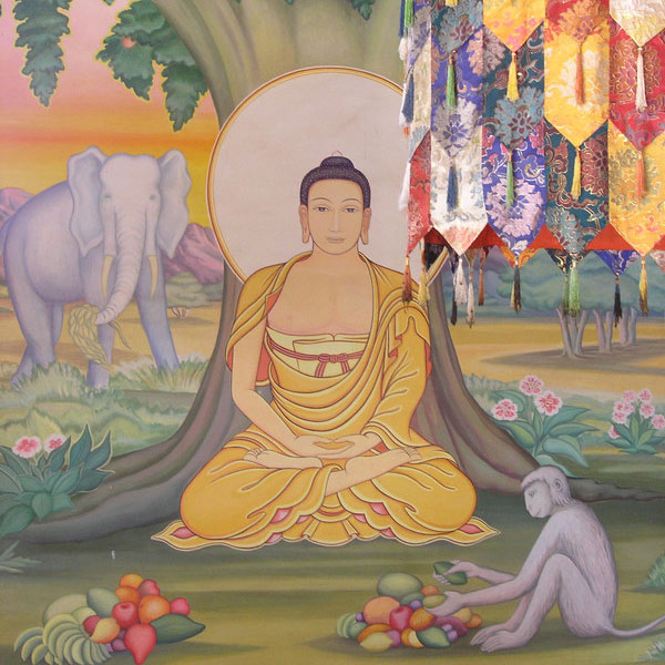Великая судьба и биография будды шакьямуни