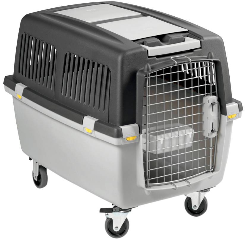 Переноска для собак в самолет: размеры клеток для перевозки, требования к контейнерам