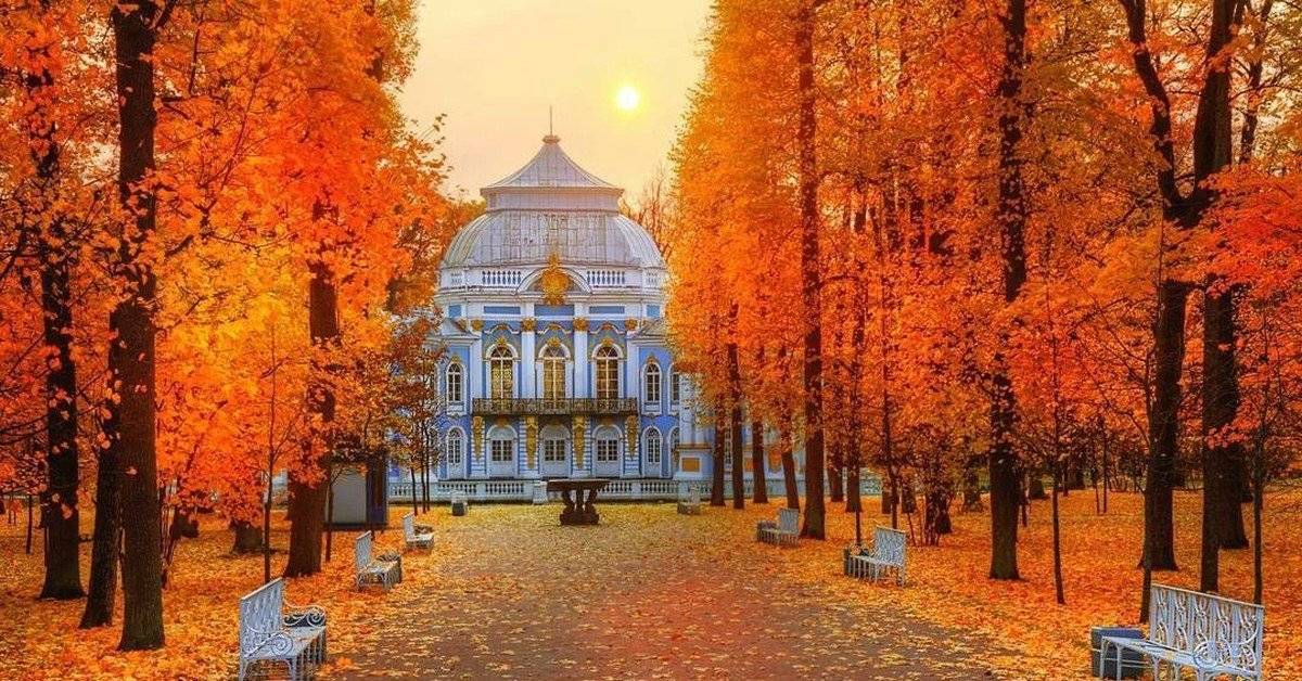 Сады и парки санкт-петербурга для осенних прогулок