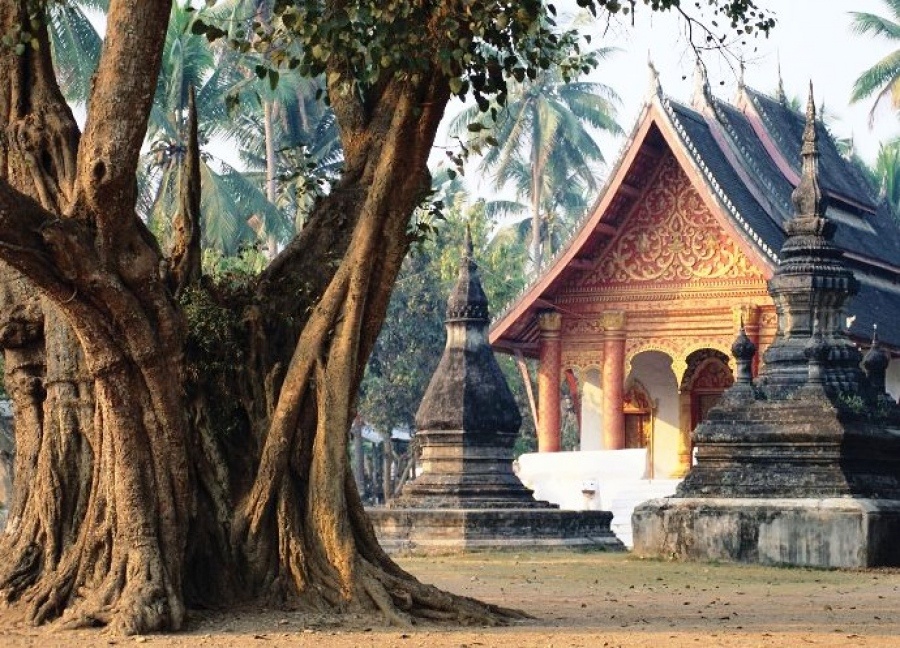 Туры в камбоджу