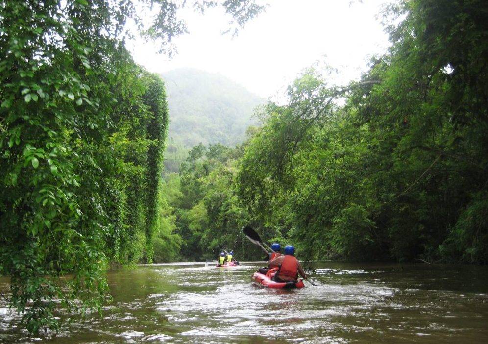 Река меконг во вьетнаме - описание, экскурсия, отзыв