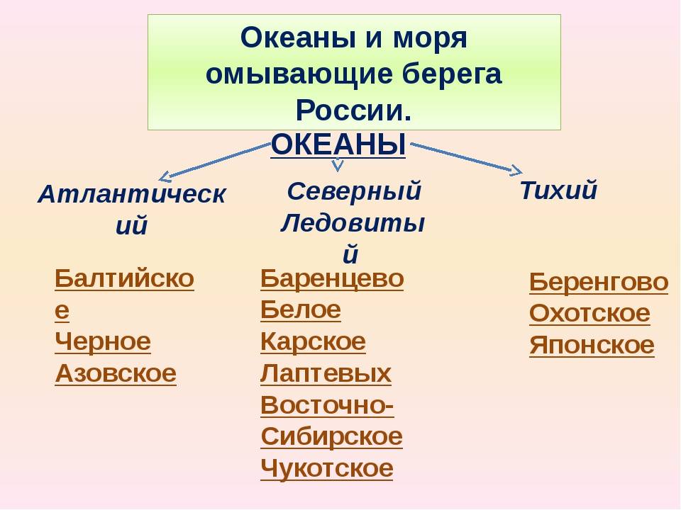 Какими водами омывается. Моря омывающие Россию. Какие моря омывают Россию. Моря которые омывают Россию список. Сколько морей омывают берега России.