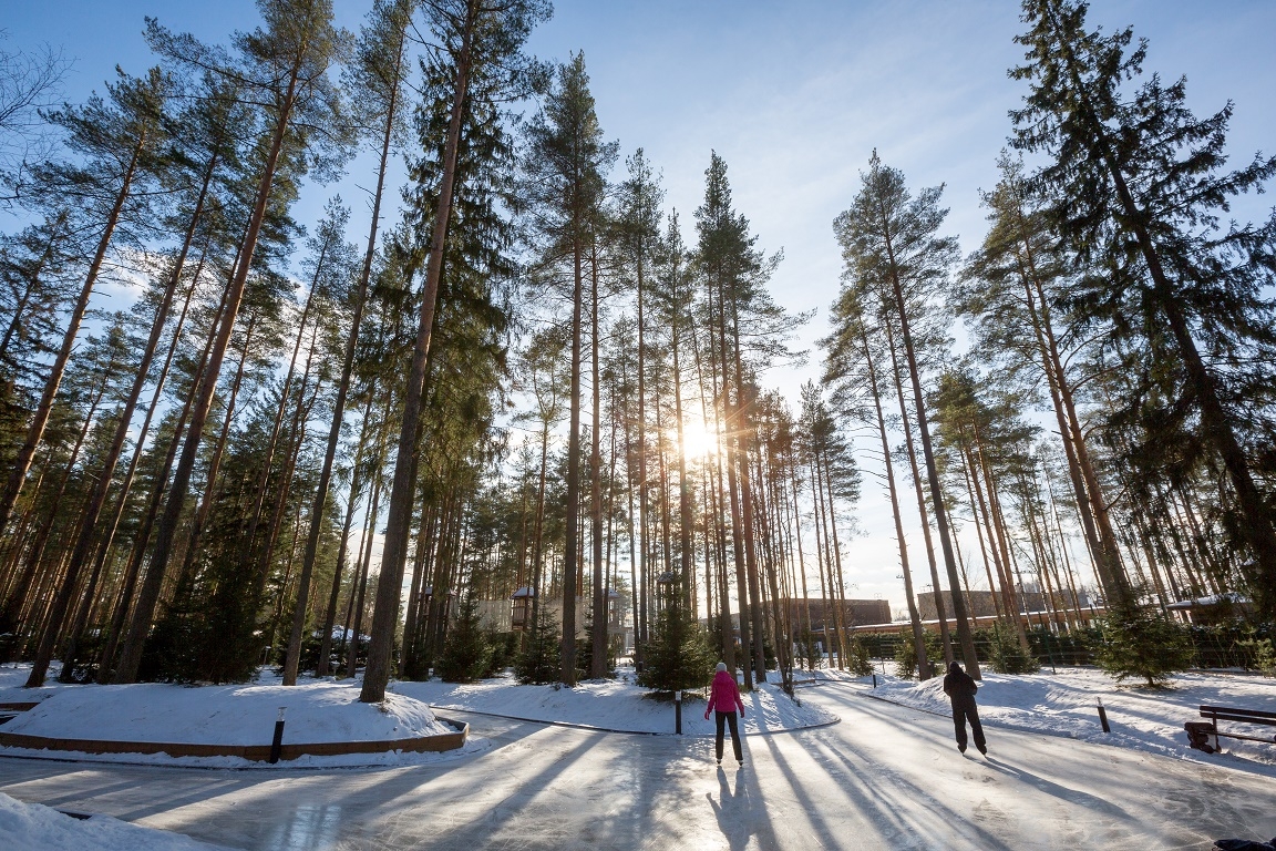 10 лучших горнолыжных курортов ленинградской области, их преимущества и недостатки