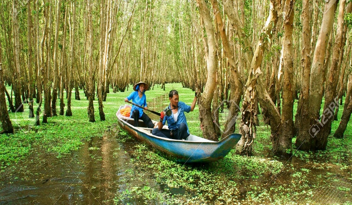 Туризм в дельте Меконга имеет большой потенциал