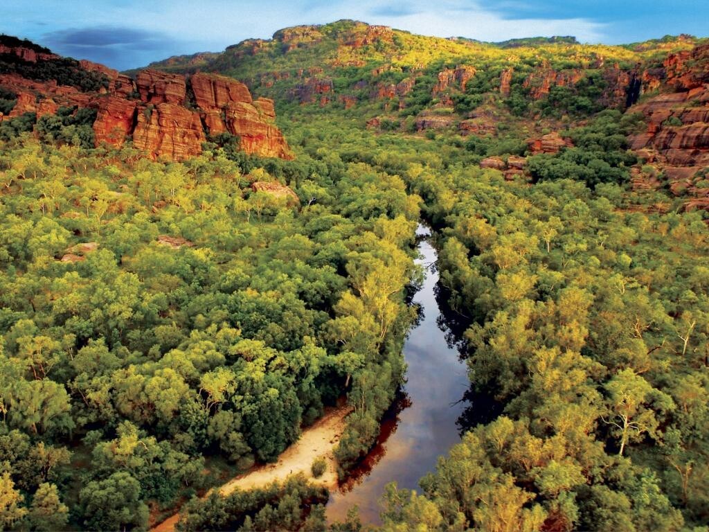 Парк какаду в австралии: где находится, как добраться, фото, отзывы туристов