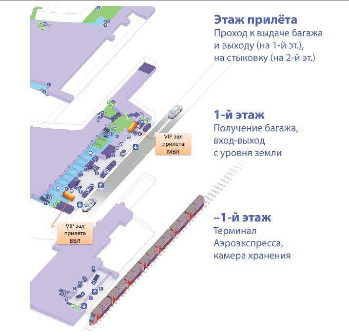 Подробная схема терминала а аэропорта внуково и других комплексов