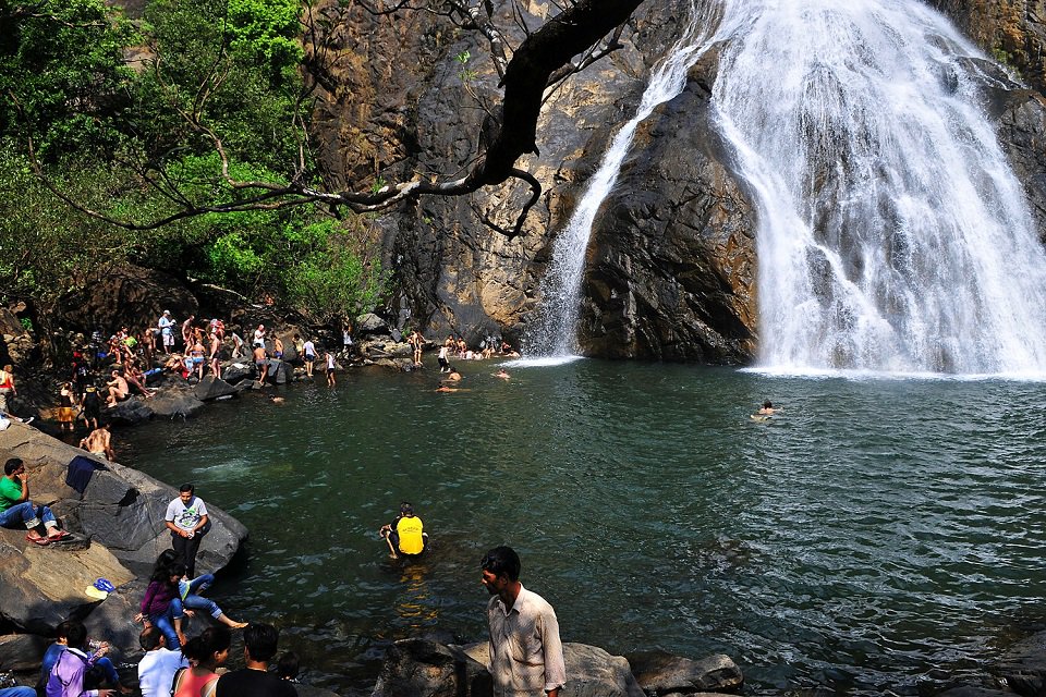 Поездка на водопад dudhsagar :: гоа :: отзыв лягушки-путешественницы