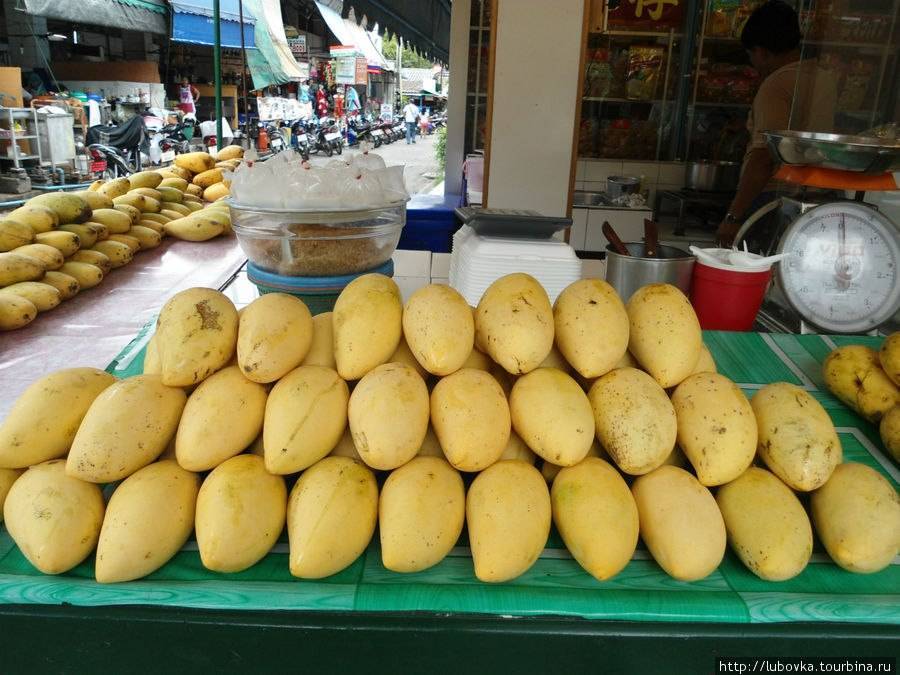 Сезон манго в тайланде, сколько стоит манго в тайланде