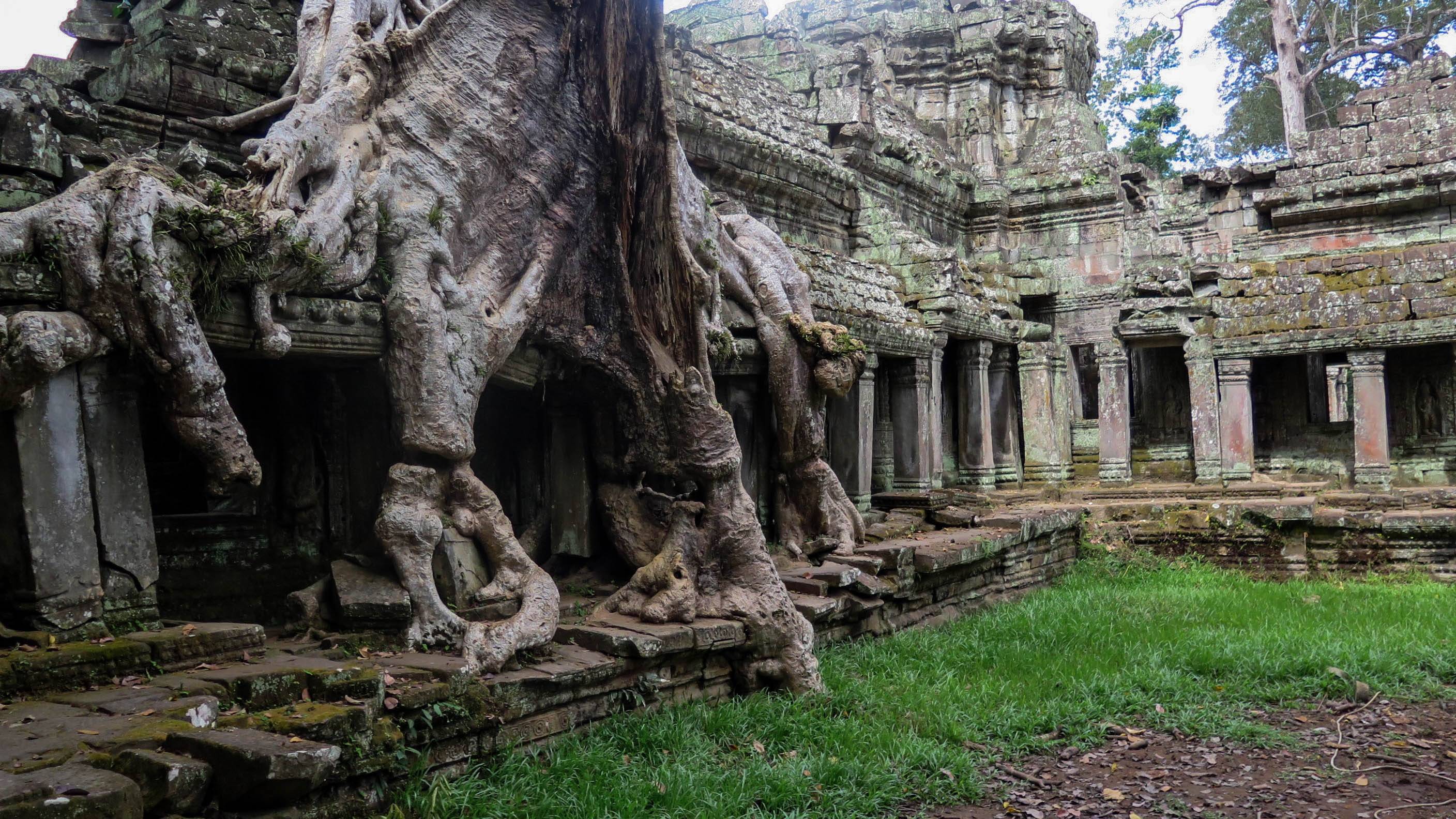 Древний город в джунглях камбоджи. камбоджа
