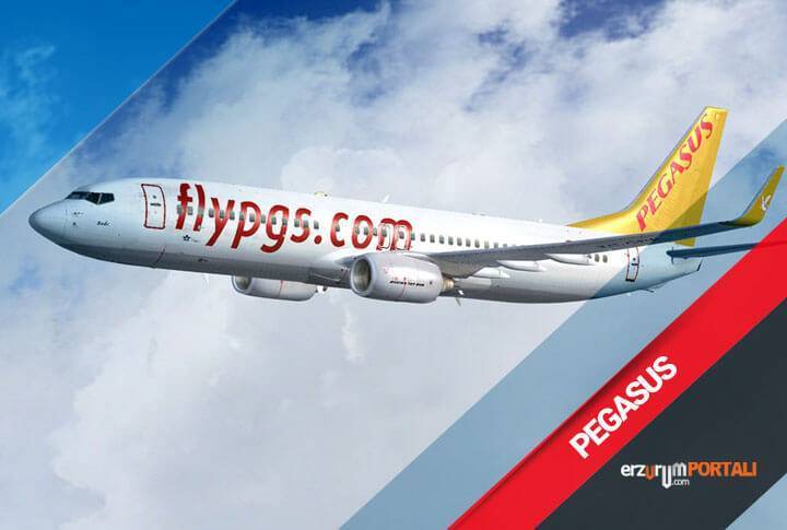 Авиакомпания пегасус (pegasus airlines) — авиакомпании и авиалинии россии и мира