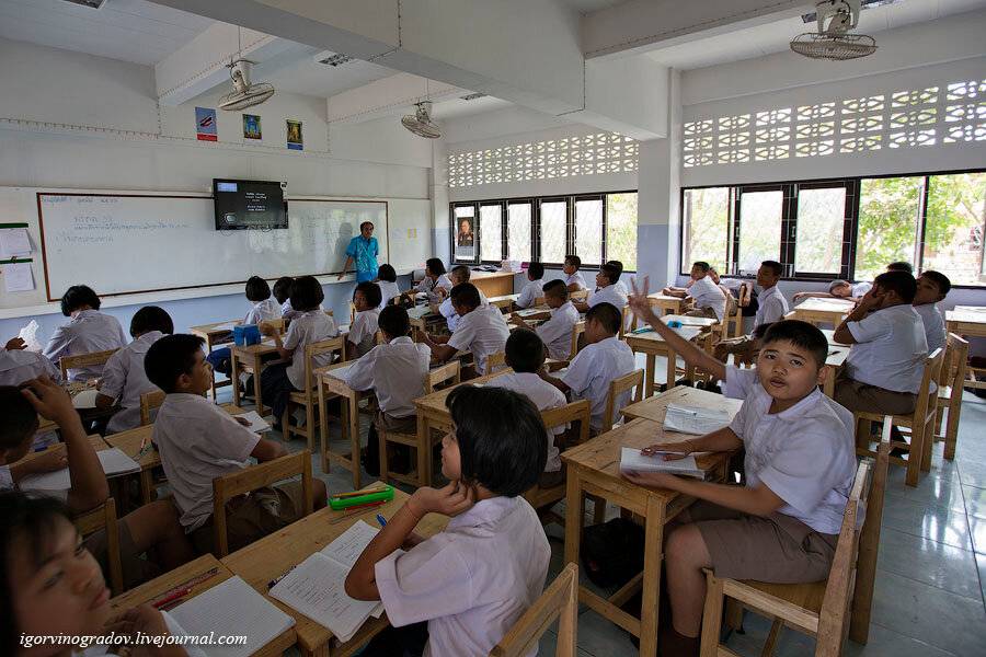 Образование в тайланде